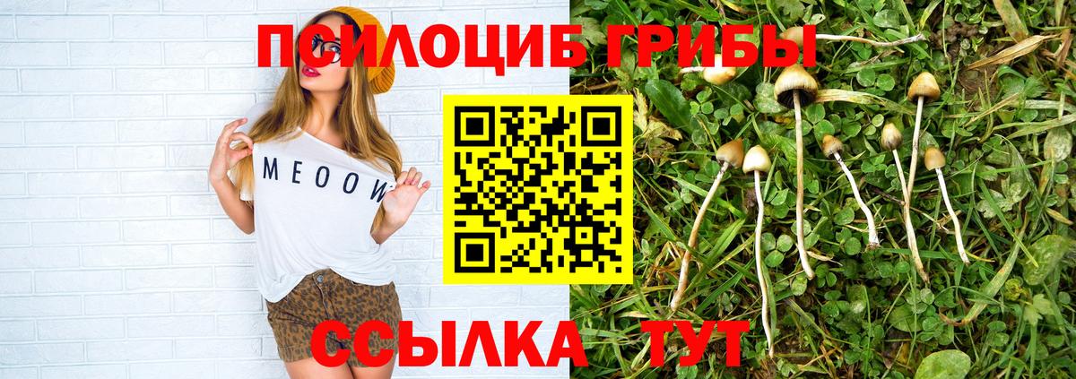 Галлюциногенные грибы мицелий  Псилоцибиновые грибы MAGIC MUSHROOMS  Вход с VPN  Черкесск 